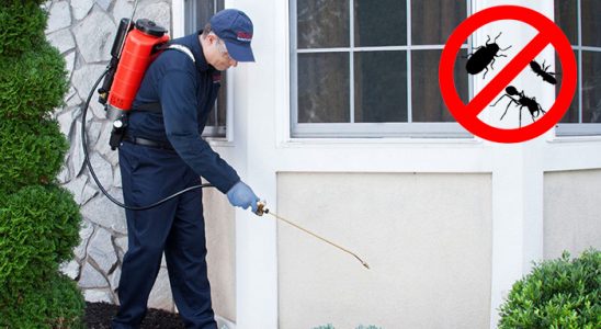 Almus Böcek İlaçlama böcek ilaçlama ve haşere kontrolü — ilaclama-tr.com